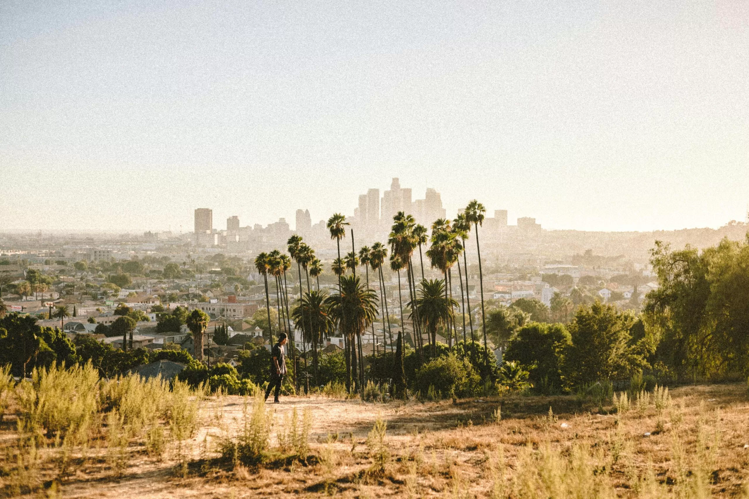 Los Angeles family vacation skyline view with iconic palm trees against a warm sunset sky